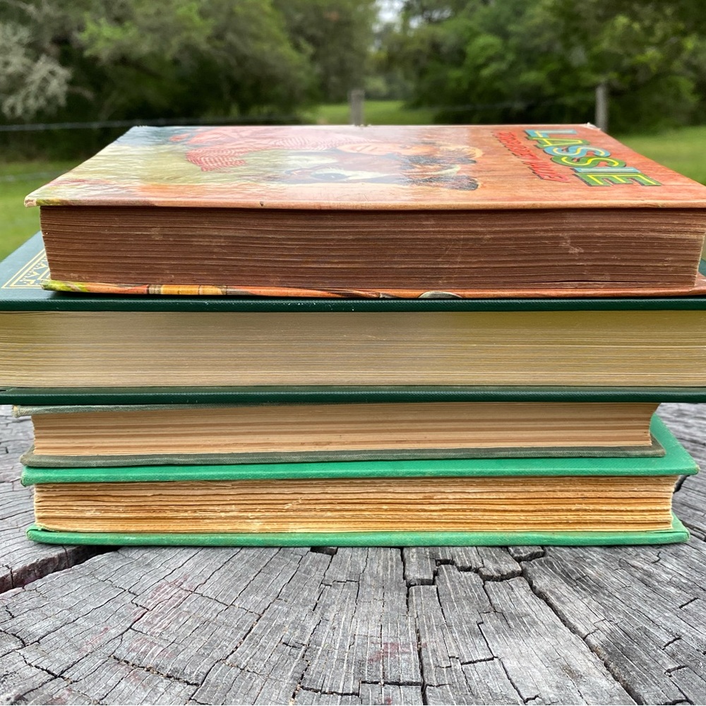 Set of 4 books. - Picture 2 of 9
